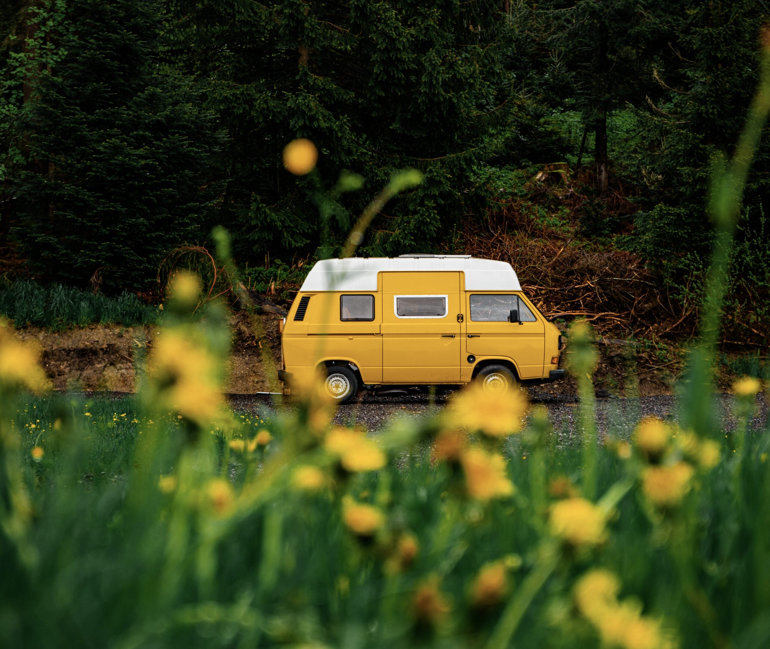 Ein Wochenende voller Inspiration: Kreativität im T3 Camper am Bodensee entfesselt